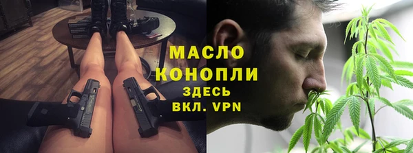 индика Бердск