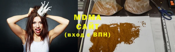 индика Бердск
