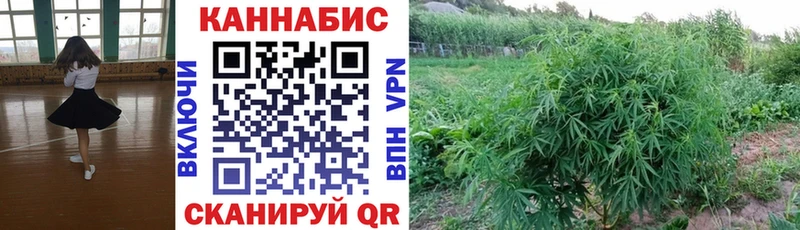 mega ССЫЛКА  Кемь  Бошки марихуана THC 21%  купить закладку 